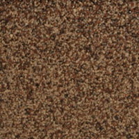 Cedar shingle color