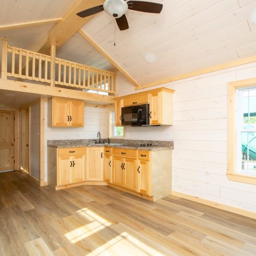 The Summit View Style 3 Living Area